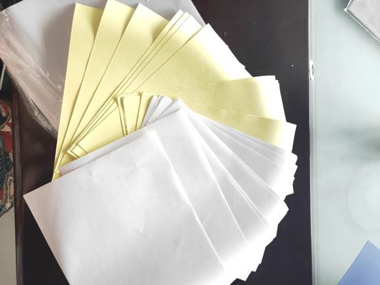 Moisture Proof Glossy Self-Adhesive Sticker Paper Roll for Business Shopping Purposes