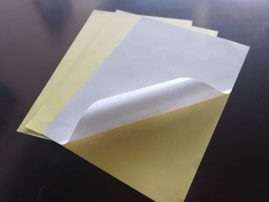 Moisture Proof Glossy Self-Adhesive Sticker Paper Roll for Business Shopping Purposes