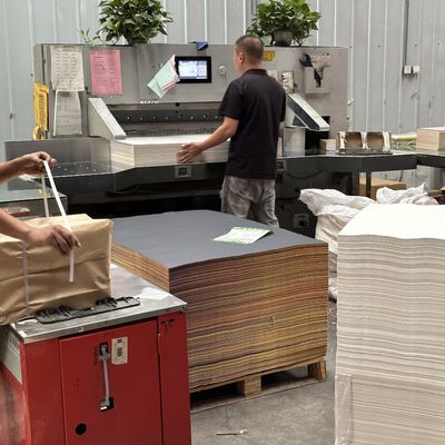 Color Woodfree Offset Printing Paper with PE Coating Material Custom Order Accepted