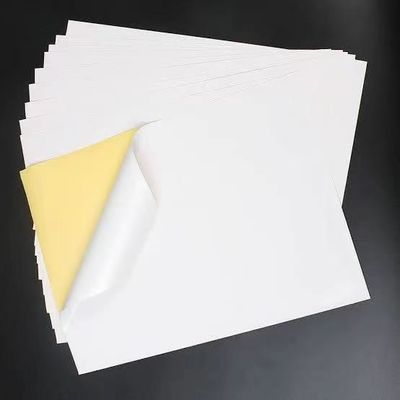 Self Adhesive Thermal Sticker Label for Custom Usage Stickers Paper Jumbo Roll