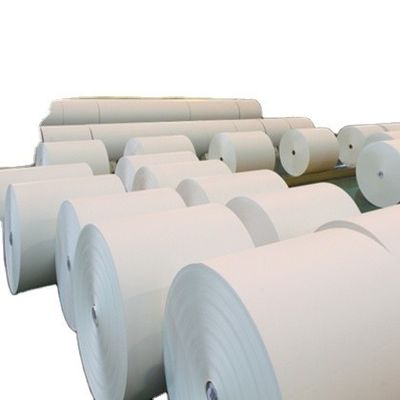 Top Selling A4 Paper 75 80 GSM Jumbo Roll with 45% Surface Gloss and 88% Printing Gloss
