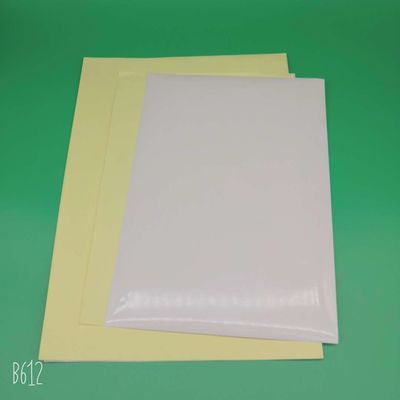 Customized Size Glossy Self-Adhesive Sticker Paper Roll with Anti-Curl Technology