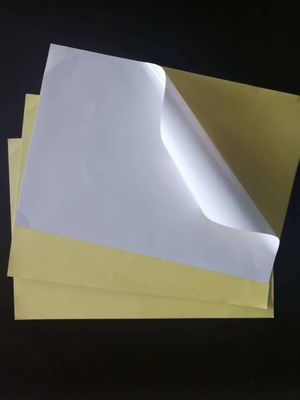 Directly from the Mill Custom Sticker Paper with Rubber Adhesive and Big Sheet Size