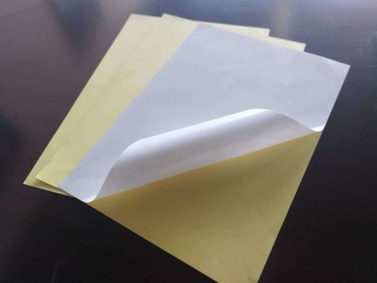 Directly from the Mill Custom Sticker Paper with Rubber Adhesive and Big Sheet Size