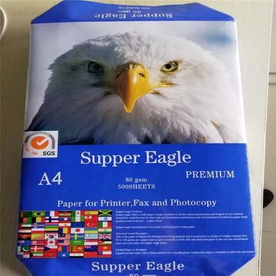 Moisture Proof Copy Paper Jumbo Roll 70gsm to 80gsm for Offset Printing and A4 Size