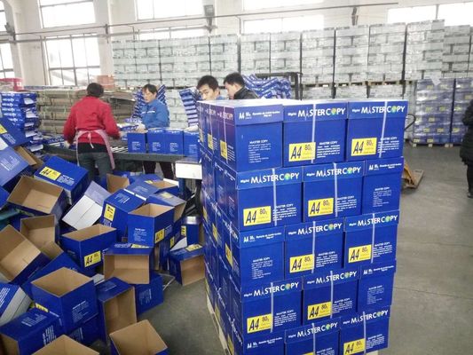 Moisture Proof Copy Paper Jumbo Roll 70gsm to 80gsm for Offset Printing and A4 Size
