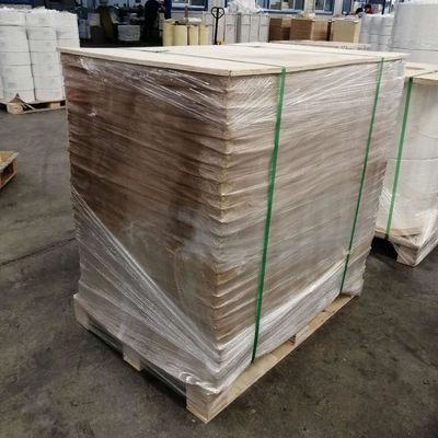 Self-Adhesive Sticker Paper from Direct with Single Side Coating and Virgin Pulp Style