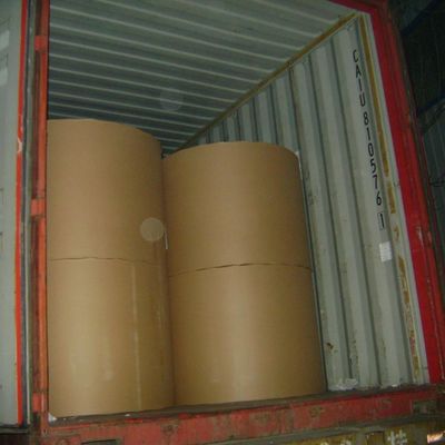 Other Paper Size Copy Paper Roll for A4 A3 Cutting Office Essential Product