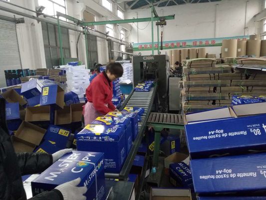 Other Paper Size Copy Paper Roll for A4 A3 Cutting Office Essential Product