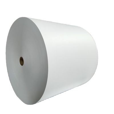 Anti-Curl Ivory Paper 210/230/250/270/300gsm FBB/GC1/C1S with Chemical Pulp and Standard