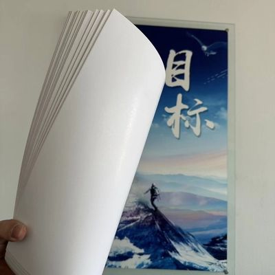 Anti-Curl Ivory Paper 210/230/250/270/300gsm FBB/GC1/C1S with Chemical Pulp and Standard