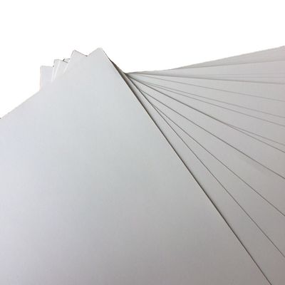 PE Coated 250-350gsm C2S/ GC2/High Bulk Art Card Paper Roll for Printing and Packing