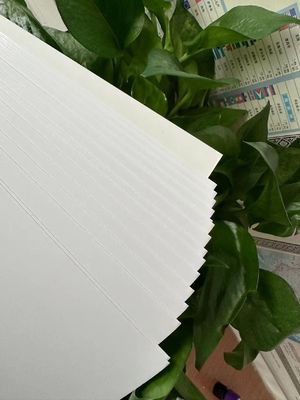 Customized Printing Hotselling Paper 210/230/250/270/300gsm FBB/GC1/C1S of Standard