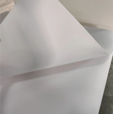 Customized Printing Hotselling Paper 210/230/250/270/300gsm FBB/GC1/C1S of Standard