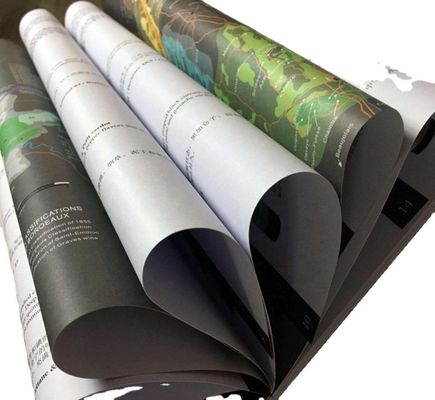 Double Side Coated C2S Matte Art Card Paper In Roll Compatible with Offset Printing