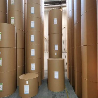 Chemical-Mechanical Pulp C1S Coated Ivory Board for Customized Orders from Ningbo APP