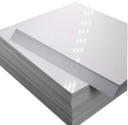 Chemical-Mechanical Pulp C1S Coated Ivory Board for Customized Orders from Ningbo APP