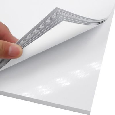 PE Coated C2S Matte Art Card Paper In Roll for Printing and Packaging Applications