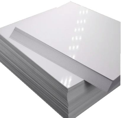 PE Coated C2S Matte Art Card Paper In Roll for Printing and Packaging Applications