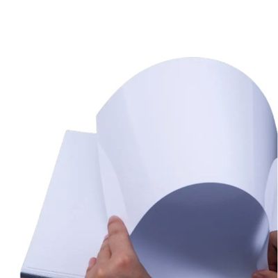 PE Coated C2S Matte Art Card Paper In Roll for Printing and Packaging Applications