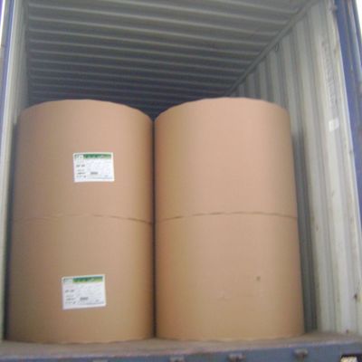Custom Order 70/75/80gsm Copy Paper Jumbo Roll 850mm Reel Size with 103±1 Brightness