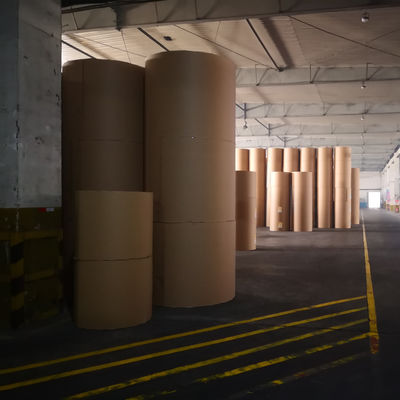Custom Order 70/75/80gsm Copy Paper Jumbo Roll 850mm Reel Size with 103±1 Brightness