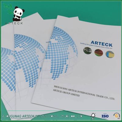 Chemical Pulp Certificating C2s Art Card 100% Virgin Pulp Coated 2 SIide Paper In Roll