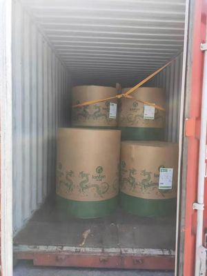 Chemical-Mechanical Pulp 70g 75g 80g Copy Paper Jumbo Roll for Offset Printing Supply