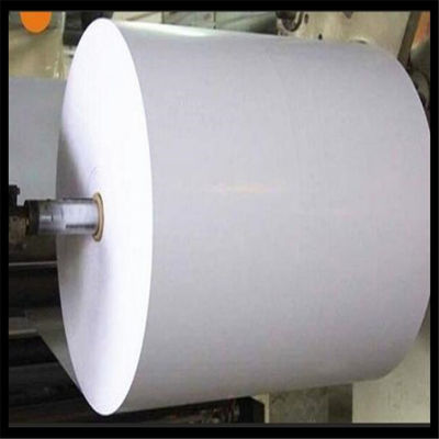 Chemical-Mechanical Pulp 70g 75g 80g Copy Paper Jumbo Roll for Offset Printing Supply