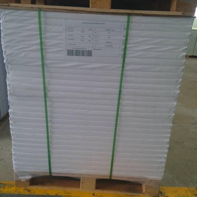 Double Side Coated Kaolinite 300g C1S Art Board for Ream Packaging in Ningbo Market