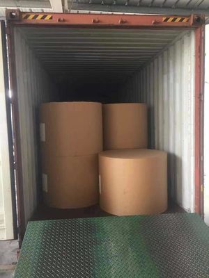 Anti-Curl Copy Paper Jumbo Roll for A4 Cutting Made from Wood Pulp
