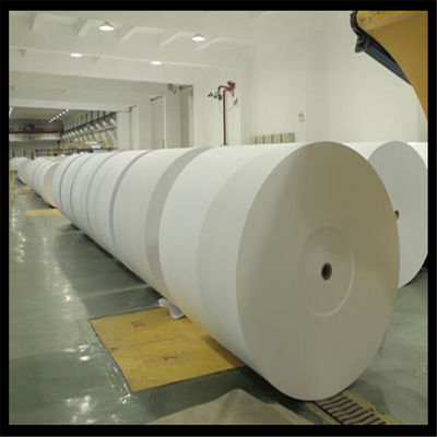 Anti-Curl Copy Paper Jumbo Roll for A4 Cutting Made from Wood Pulp