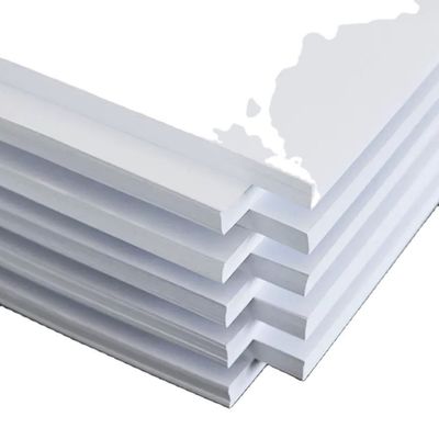 Offset Printing Ecofriendly Ivory Folding Box Paper with Wood Pulp at Competitive