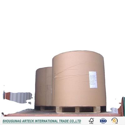 White Copy Paper Rolls Made of 100% Wood Pulp for Professional Printing