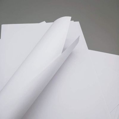 Industrial 70gsm to 80gsm Copy Paper Jumbo Roll for Cut A4 Size