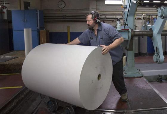 White C1S FBB Ivory Board GC1 210gsm-400gsm One Side Coated Paper for Sandwich Durable