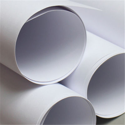 80gsm Copy Paper Jumbo Roll for Printing Custom Order Made from Virgin Pulp