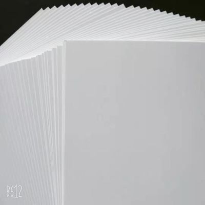 80gsm Copy Paper Jumbo Roll for Printing Custom Order Made from Virgin Pulp