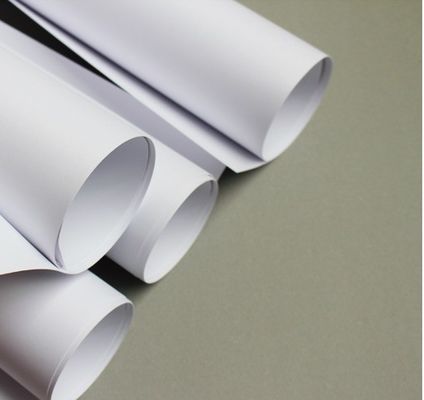 80gsm Copy Paper Jumbo Roll for Printing Custom Order Made from Virgin Pulp