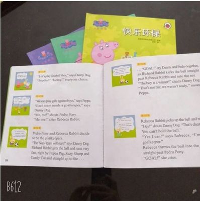 PE Coated C2s Art Paper 80gsm 90gsm 100gsm 150gsm 170gsm 300gsm for Printing Projects