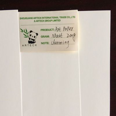 Accepts Custom Order for Wood Pulp White Couch Jumbo Roll Raw Paper Materials C2s