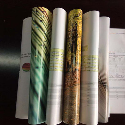 Accepts Custom Order for Wood Pulp White Couch Jumbo Roll Raw Paper Materials C2s