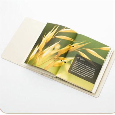 Virgin Pulp Woodfree Offset Paper for Book Printing in Large Quantities
