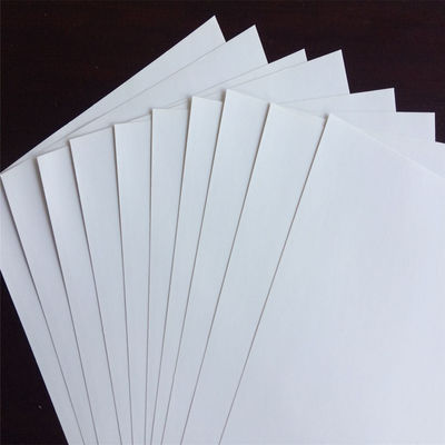 Printing Paper C2S Glossy or Matte Coated Art Paper Jumbo Roll Raw Materials for Market