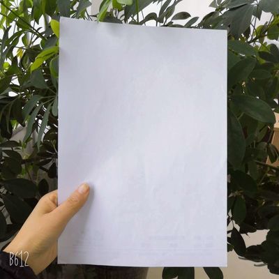 60/70/80gsm Bond Paper for Exercise Book Printing Made from Chemical-Mechanical Pulp