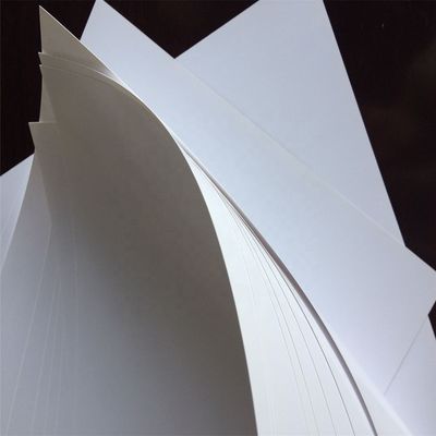Offset Printing Compatible Double Side Coated FBBGC1 Cardboard in Roll and Sheet