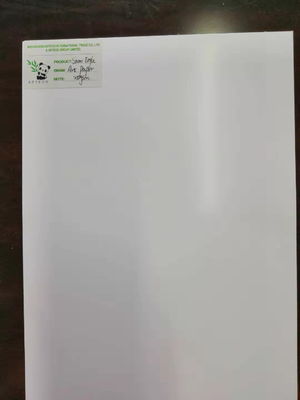 Bond Paper 80gsm-250gsm Art Paper Matt in Ream Package with Double Side Coating