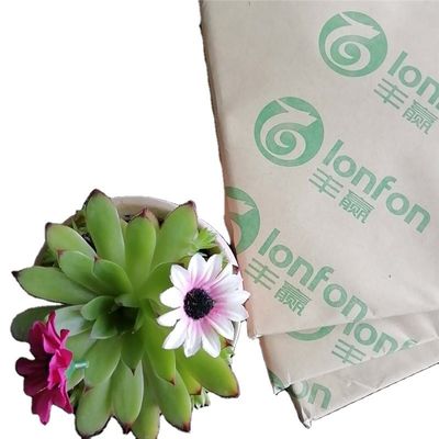 55G-120G Bond Paper for Offest Printing within Anti-Curl from LONFON/chenming /APP