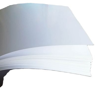 Chemical-Mechanical Pulp Ivory Board Best Choice for Folding Box Board Paper
