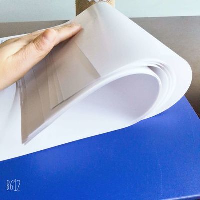 Double Side Coated Nevia Art Paper in Reel/Sheet Package for Professional Results